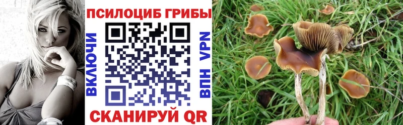 Псилоцибиновые грибы Psilocybine cubensis  кракен ССЫЛКА  Заозёрск 
