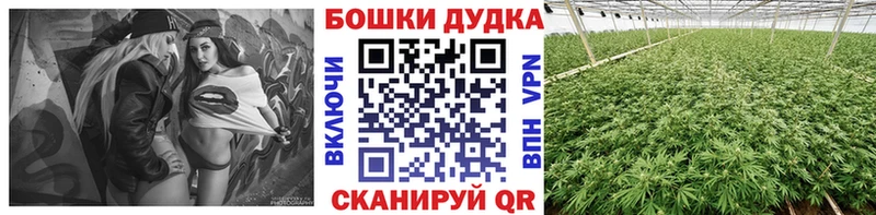 магазин    Заозёрск  МАРИХУАНА семена 